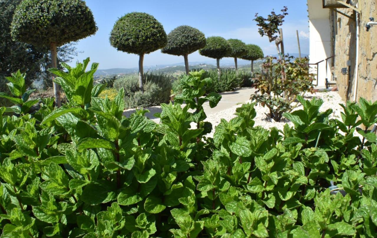 Pentakomo George Houses מראה חיצוני תמונה